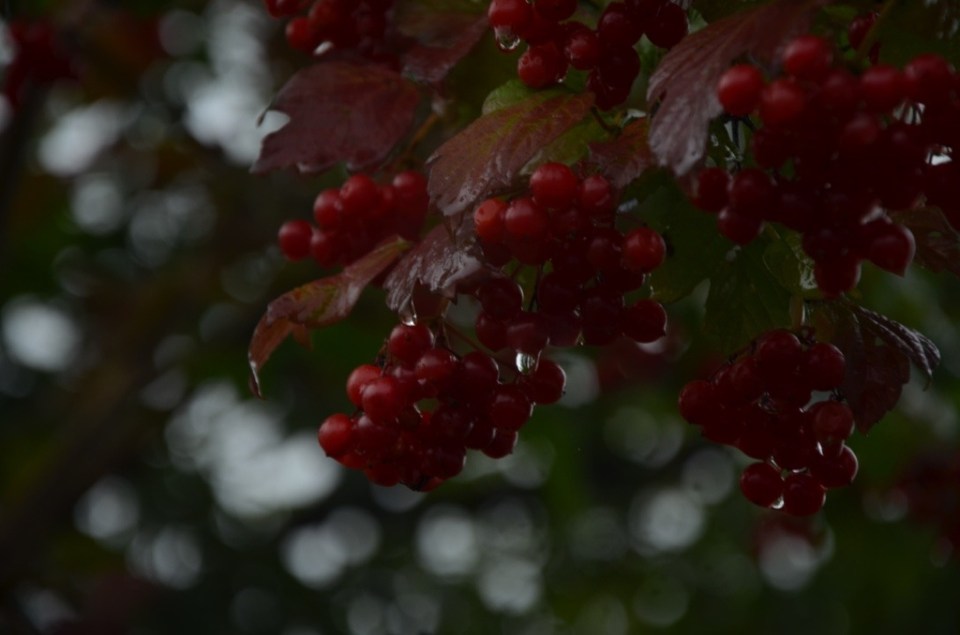 20130922-213330.jpg