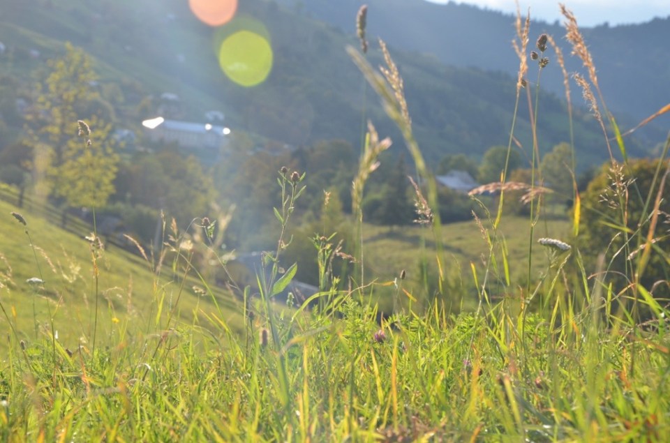 20130923-100816.jpg