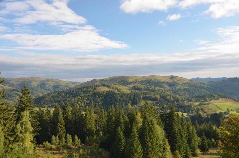 20130923-100940.jpg